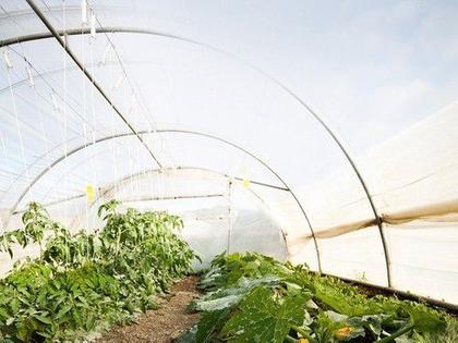 Imagem de Filme Plástico Para Estufa Agrícola Leitoso 100 Micras 5x5m