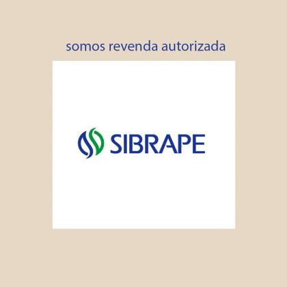 Imagem de Filtro para piscina BR40 SIBRAPE