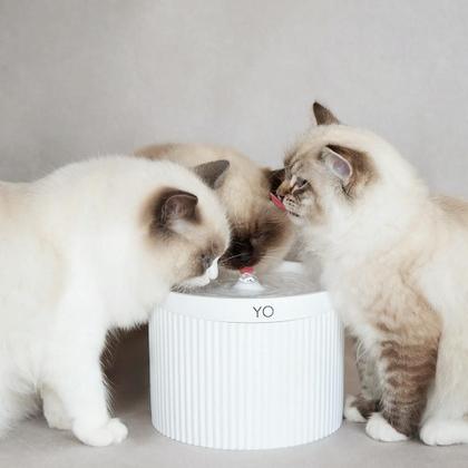 Imagem de Filtro Quádruplo com Carvão Ativado - Bebedouro Para Gatos YO (6 unid.)