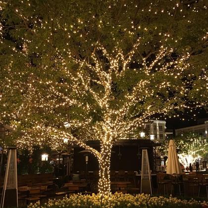 Fio de Cobre Impermeável para Exteriores - Luzes de Fada com 200m e 2000 LEDs - Adaptador Plug-in Imagem de Fio de Cobre Impermeável para Exteriores - Luzes de Fada com 200m e 2000 LEDs - Adaptador Plug-in