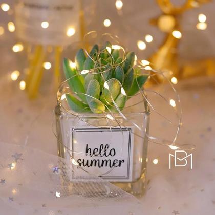 Imagem de Fio De Fada Led Cordão De Luz 2M Decoração 20 Leds Bateria