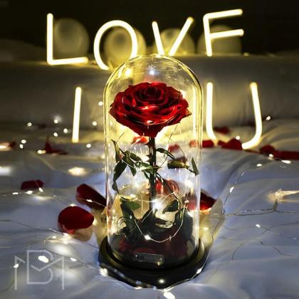 Imagem de Fio De Fada Led Cordão De Luz 2M Decoração 20 Leds Bateria