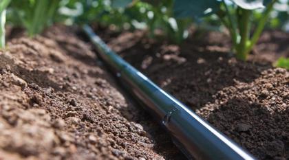 Imagem de Fita Mangueira Gotejadora Irrigação Agrícola - 2.000 Metros Ecodrip 100 Cm