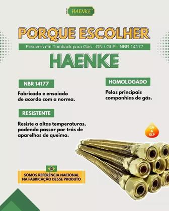Imagem de Flexível Gás 40CM - 1/2MX1/2F Haenke