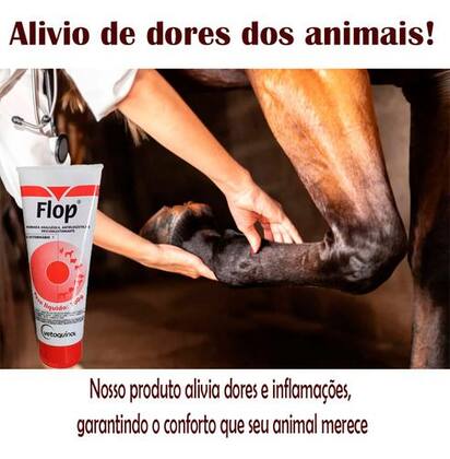 Imagem de Flop Pomada Dores E Pancadas Roxo - 100g