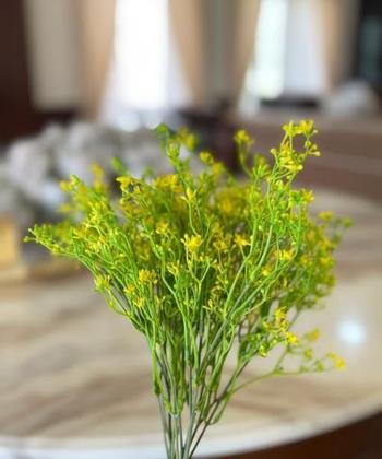 Imagem de Flor Erva doce amarela