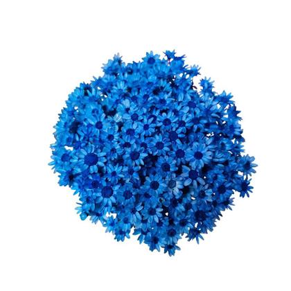 Imagem de Flor Sempre Viva Azul Divina Zelia