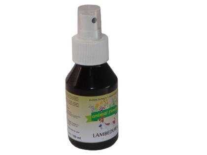 Imagem de Floral Lambedura 100ml spray- Animal Flower
