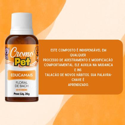 Imagem de Floral Pet Educamais - Momento Disciplina 26g