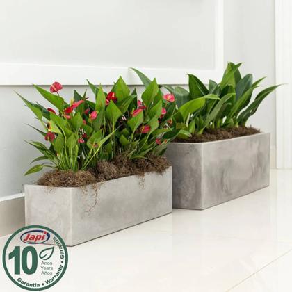 Imagem de Floreira Flat 67 (17L) Cor Cimento Queimado JAPI