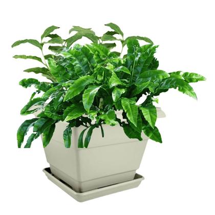 Imagem de Floreira Romano sem Prato 02 Cor Mármore (20,9L) NUTRIPLAN