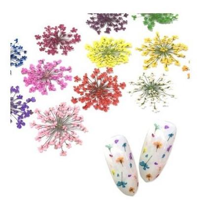 Imagem de Flores Secas Encapsulamento Unhas Decoração Cores Uv Led