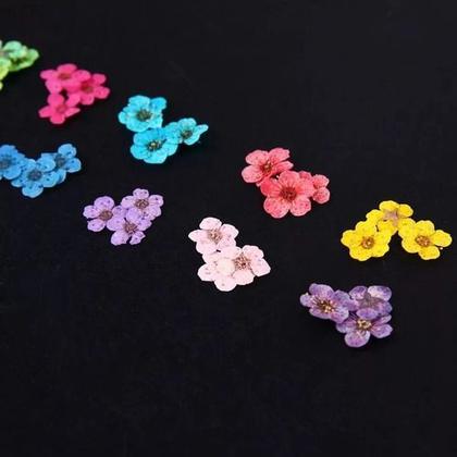 Imagem de Flores Secas Encapsulamento Unhas Decoração Cores Uv Led