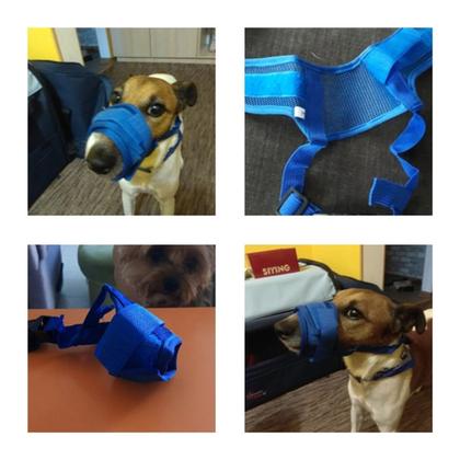 Imagem de Focinheira Regulável Respirável para Cão Pequeno Médio e Grande P M G 2G 3G