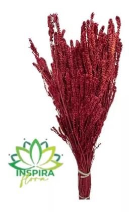 Imagem de Folhagem Capim Verde-amarelo Seco Arranjo Vinho Marsala Luxo