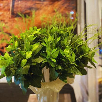 Imagem de Folhagem Galho de Eucalipto Buquê Verde 52cm Decortexil