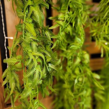 Imagem de Folhagem Pendente Artificial Mini Samambaia Verde 80cm - MC Flores