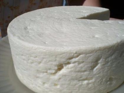 Imagem de Forma Para Queijo Frescal De 1kg Polietileno (24 Unidades)