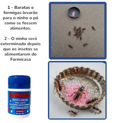 Imagem de Formicasa Mata Baratas Formigas Insetos Aniquila Ninho Baraticida Natural