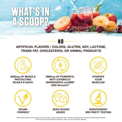 Imagem de Fórmula intraworkout Ambrosia Hydroglyph com pó de hidratação com BCAA+EAA + eletrólitos para proteger a massa muscular magra, 0 g de mistura de hidratação em jejum com açúcar, feita com água de coco (ponche de frutas)