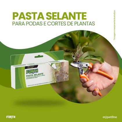 Imagem de Forth Pasta Selante e Cicatrizante - 20 g