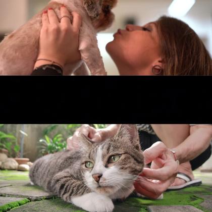 Imagem de Fragrância Para Pets Chiclete Filhote Macho Fêmea E Mais