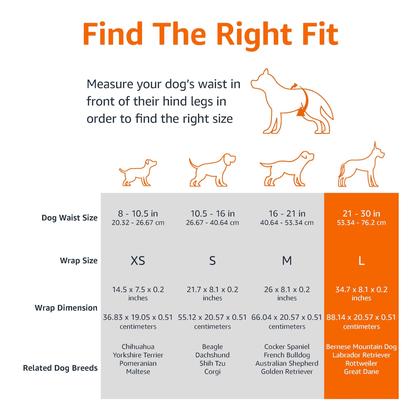 Imagem de Fraldas descartáveis para cães machos Amazon Basics Large, pacote com 30