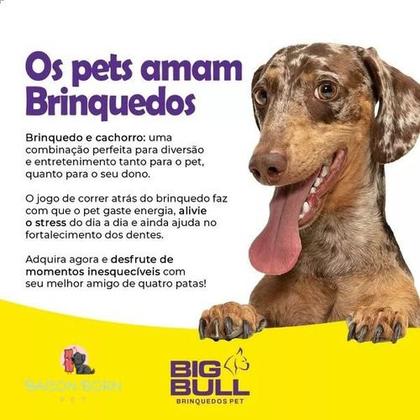 Imagem de Frisbee Disco Voador Resistente Para Cachorros Grandes Brinquedo Pet Cães Pet G - Big Bull