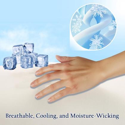 Imagem de Fronhas refrescantes QUTOOL King Size, conjunto de 2 champanhes