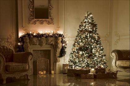 Imagem de Fundo Fotográfico em Tecido Casa Natal Árvore Iluminada - 150x170cm