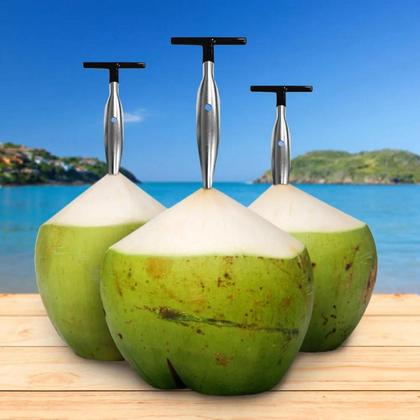 Fura Coco Perfurador Manual Abridor, Furador De Coco Inox - CLINK