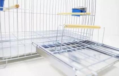 Imagem de Gaiola Arco Duplex Luxo Calopsita Papagaio Zincada