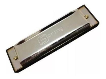 Imagem de Gaita diatonica sg20c c/ estojo spring