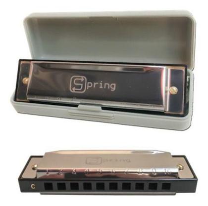 Imagem de Gaita diatonica sg20c c/ estojo spring