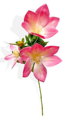 Galho Haste com 3 Mini Magnolia - Rosa 65cm - Kaza Decore Imagem de Galho Haste com 3 Mini Magnolia - Rosa 65cm
