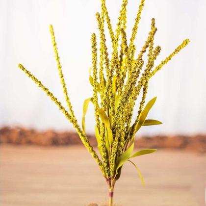 Imagem de Galho Permanente Artificial  Sorgo Tok da Casa Kit c/ 2un