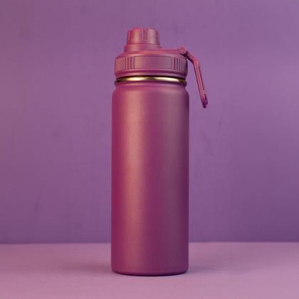 Imagem de Garrafa com Alça e Bico 570ml Parede Dupla Roxa - Desembrulha