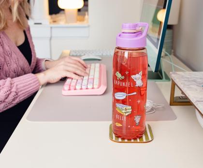 Imagem de Garrafa de Água Silver Buffalo Disney Princess 800mL