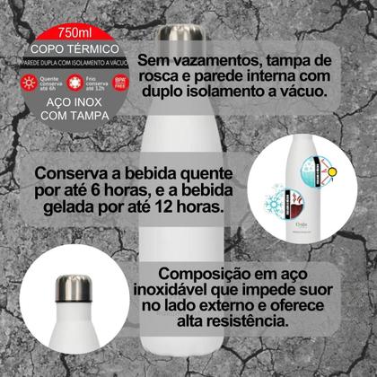 Imagem de Garrafa De Agua Térmica 750 ml Inox Powder Onix Termic