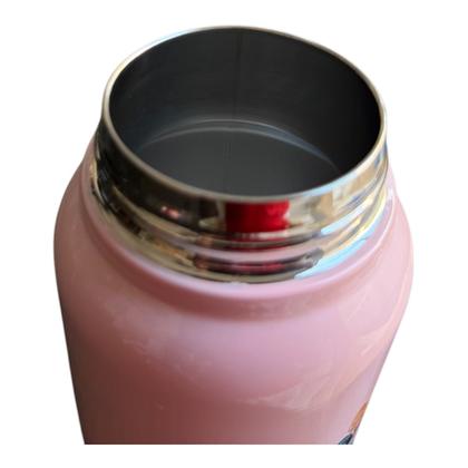 Imagem de Garrafa Inox Jupiter Princesas Disney 500ml - ZonaCriativa