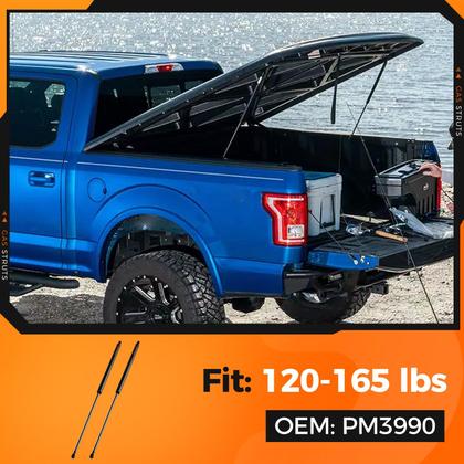 Imagem de Gas Strut PAMAGOO PM3990 28 cm 68 kg Gas Shock, pacote com 2