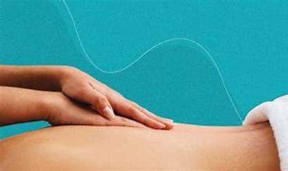 Imagem de Gel Massageador Sebo de Carneiro com Arnica Extra Forte - Natulife 200gr