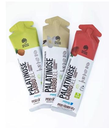 Imagem de Gel Palatinose Alquimia Da Saúde Caixa 15 Sachês 60ml Cada