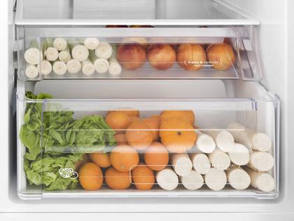 Geladeira/Refrigerador Electrolux Frost Free - Duplex 427L Painel