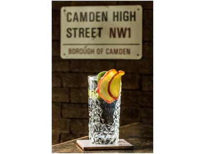 Imagem de Gin Arapuru London Dry