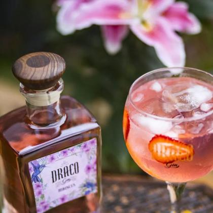 Imagem de Gin Draco Hibiscus 750ml