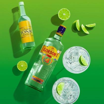 Imagem de Gin GORDON'S London Dry 750ml