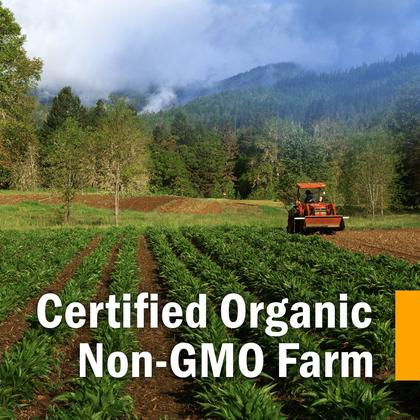 Imagem de Glicerita de semente de aveia Herb Pharm 30 ml orgânica sem álcool