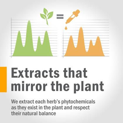 Imagem de Glicerita de semente de aveia Herb Pharm 30 ml orgânica sem álcool