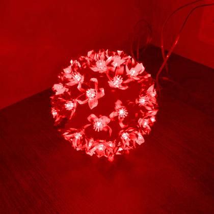 Imagem de Globo com 50 Lâmpadas Pisca Pisca - LED Flor